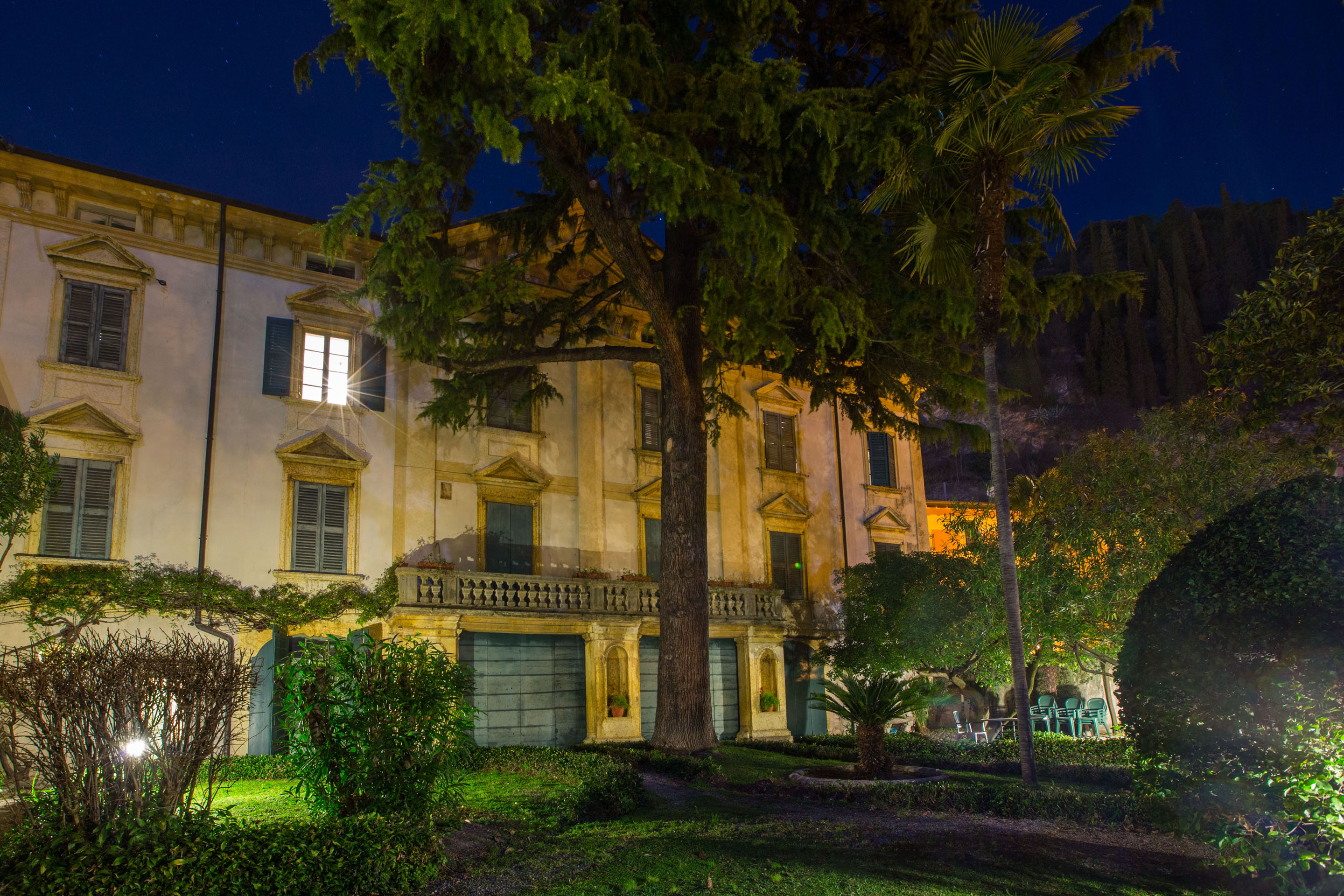 garden by night